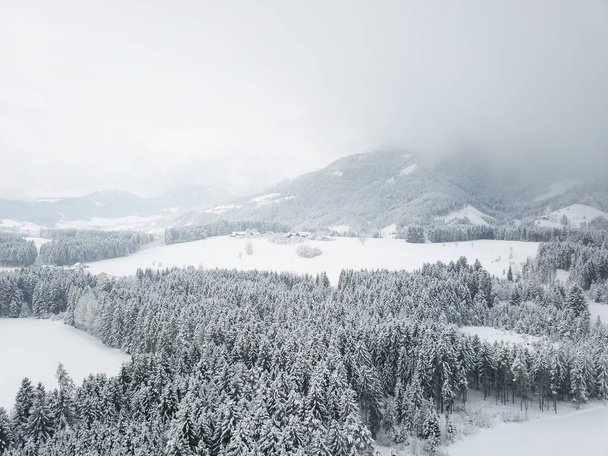 ήρεμη εναέρια βολή του πανέμορφων χιόνι που καλύπτονται κωνοφόρα δάσος - Φωτογραφία, εικόνα