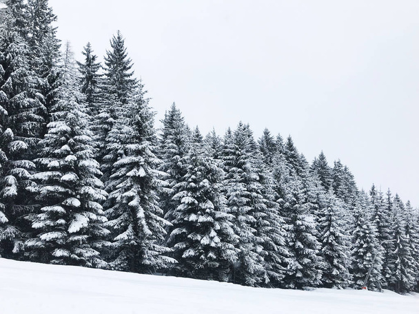 rauhallinen laukaus kauniita lumisia vuoria
 - Valokuva, kuva