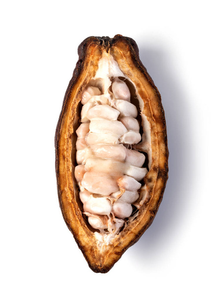 Korpus kakaowy na białym tle - Zdjęcie, obraz
