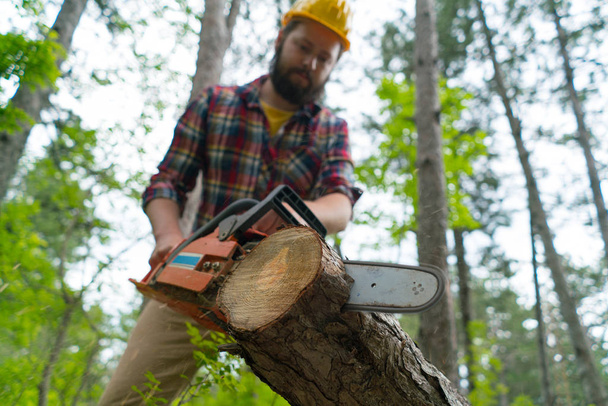 a bearded chainsaw worker cuts wood with chainsaw - Foto, Imagem