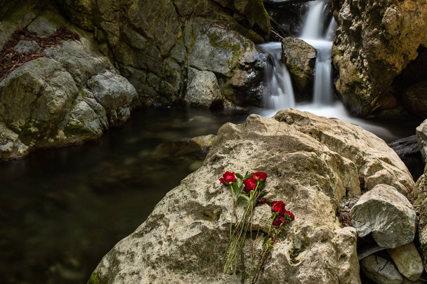 A vízesés a Limekiln State Park, Big Sur vörös rózsa az előtérben elhelyezett szikla előtt vízesés - Fotó, kép