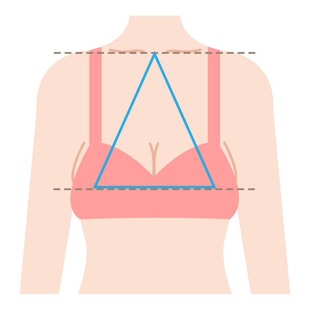 κρεμώντας το σχήμα του στήθους είναι ισοσκελές τρίγωνο που συνδέει τρία σημεία από το κέντρο της κλείδας στην κορυφή βυζιά. Εικονογράφηση έννοιας ομορφιάς και φροντίδας σώματος  - Διάνυσμα, εικόνα