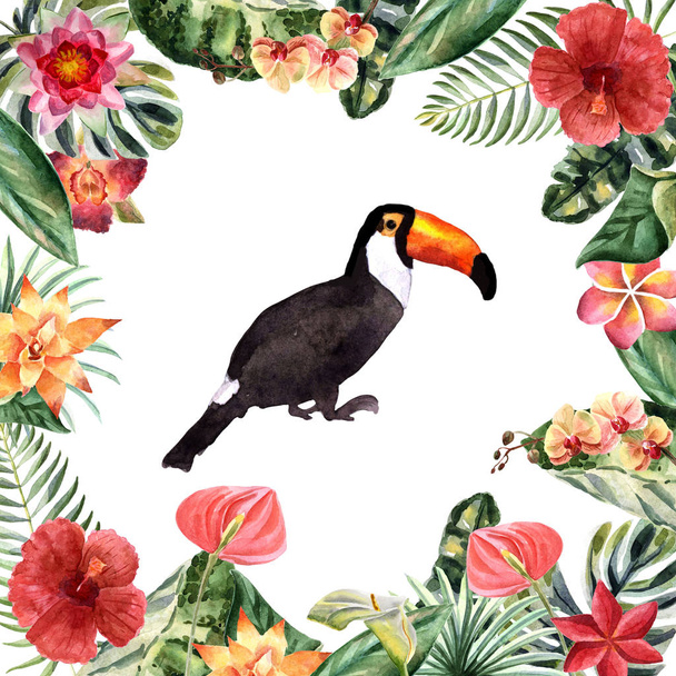 Watercolor toucan isolated on a white background - Foto, Bild
