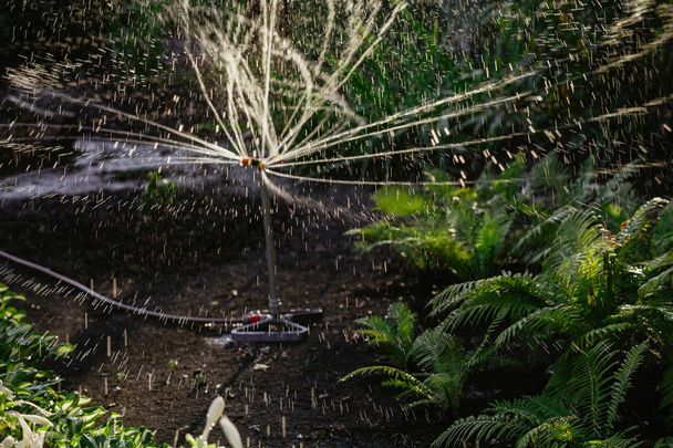 Jet de lluvia artificial
 - Foto, Imagen