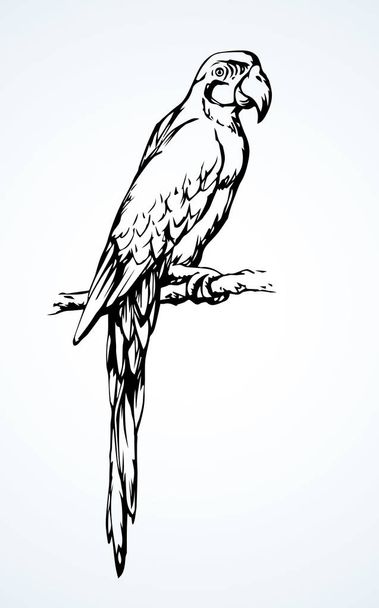 Papağan kuş simgesi. Vektör çizimi - Vektör, Görsel