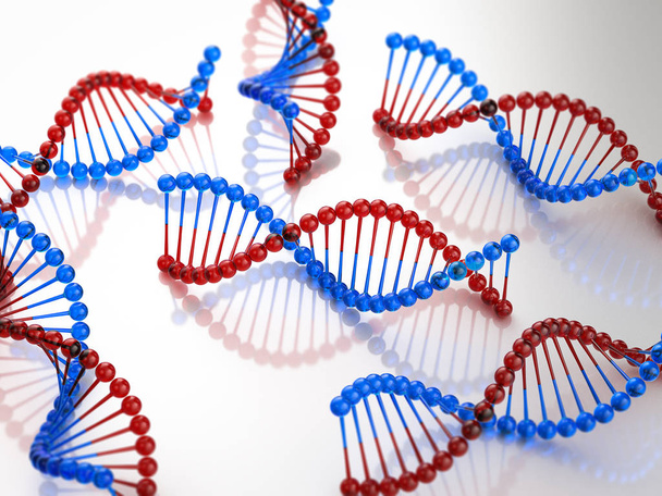 Estructura de hélice ADN
 - Foto, Imagen