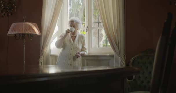 Senior oma vrouw genieten van drinken kopje thee of koffie in de buurt van venster. Mooie witte haren ouderen grootmoeder thuis. 4k slow motion-video - Video