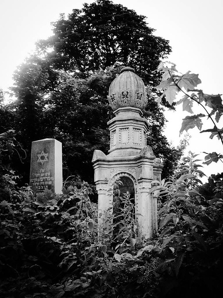 alter verlassener jüdischer Friedhof mit Steingräbern zwischen Bäumen - Foto, Bild