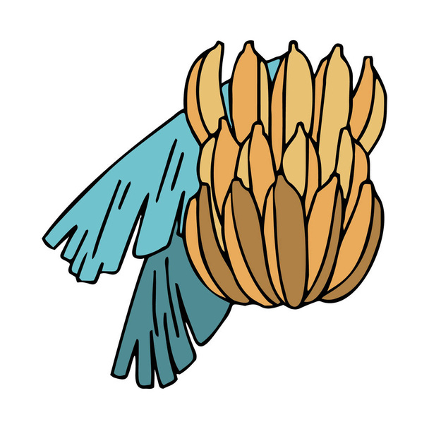 Skupina banánů s listy v Doodle stylu s tahem - Vektor, obrázek