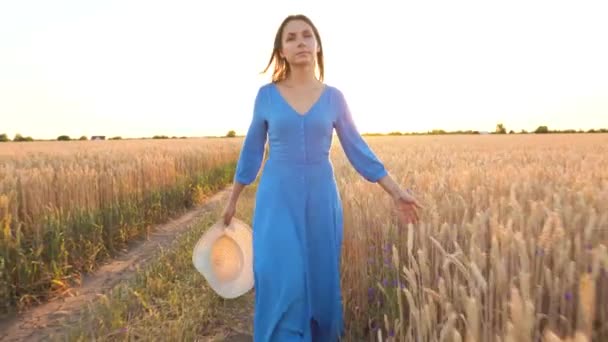 Piękna kobieta w niebieskiej sukni i kapeluszu chodzenie przez pole pszenicy o zachodzie słońca. Koncepcja wolności. Pole pszenicy w zachodzie słońca - Materiał filmowy, wideo