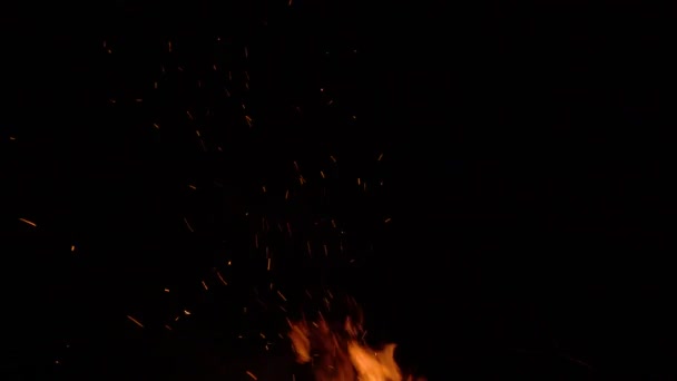 Κάψιμο φωτιά πάνω σε μαύρο φόντο που περιβάλλεται από κλαδιά. Κοντινό πλάνο - Πλάνα, βίντεο