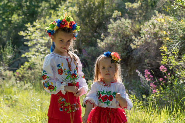 Αδελφές σε Ουκρανικό Εθνικό φόρεμα - Φωτογραφία, εικόνα