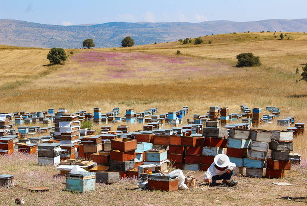 Παραδοσιακός μελισσοκόμος στην εργασία. - Φωτογραφία, εικόνα