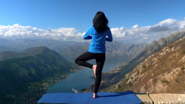 Hermosa chica delgada haciendo yoga en el acantilado
 - Metraje, vídeo
