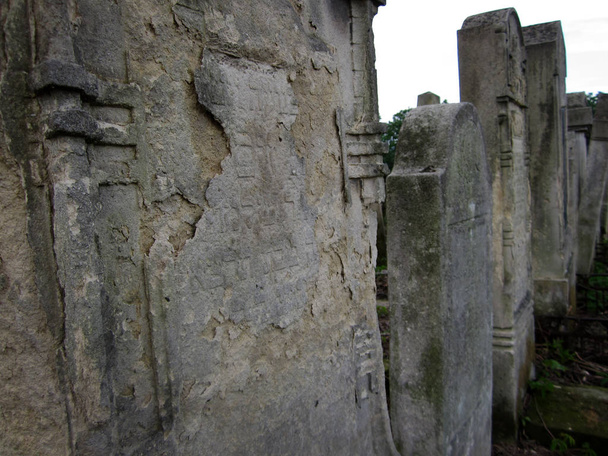 Vanha hylätty juutalainen hautausmaa kivi hautoja puiden välissä
 - Valokuva, kuva