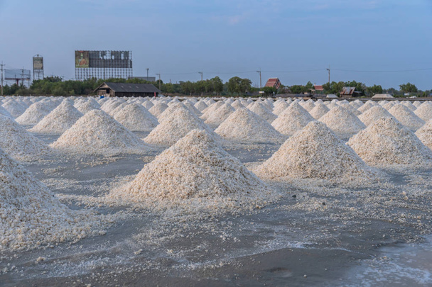 Montones de sal blanca en los vastos campos de sal del mar
 - Foto, imagen