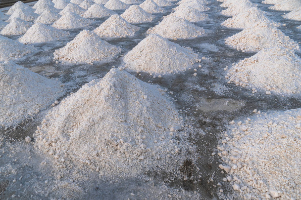 White salt piles in the vast salt fields of the sea - Photo, Image