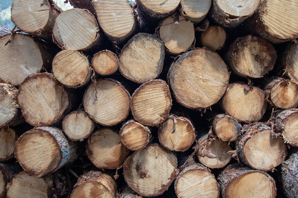 Kilátás egy halom fa fatörzsek - Fotó, kép