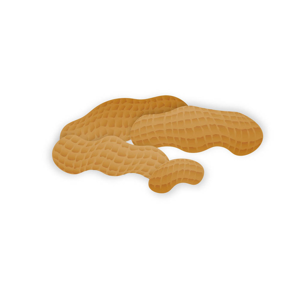 Vektor-Erdnüsse in realistischem Stil auf weißem Hintergrund für Template-Etikett, Verpackung Snack und Emblem Bauernmarkt-Design. - Vektor, Bild