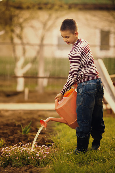 little helper watering flowers in the garden - 写真・画像