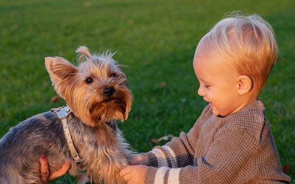 Simple happiness. Toddler boy enjoy autumn with dog friend. Small baby toddler on sunny autumn day walk with dog. Happy childhood. Sweet childhood memories. Child play with yorkshire terrier dog - Foto, Imagem
