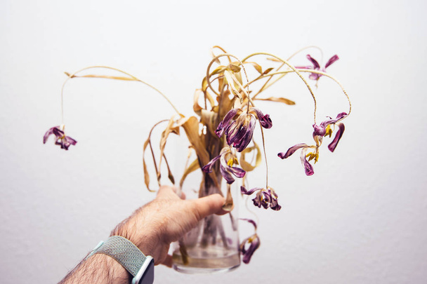 Мужчина держит вазу с мертвым растением
 - Фото, изображение