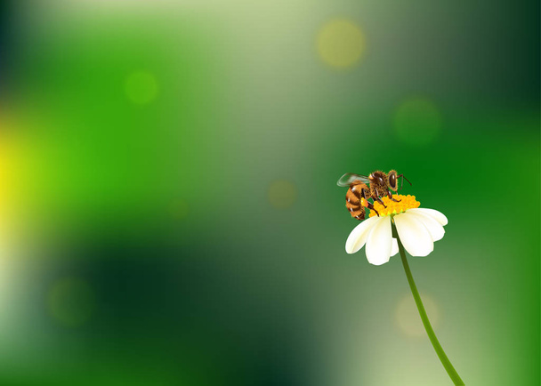 Pszczoła wokół kwiatu i wziąć nektar na tle bokeh - Wektor, obraz