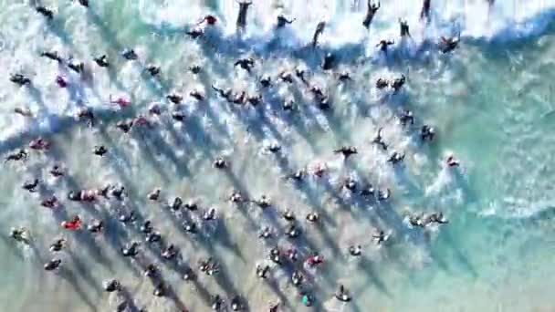 Start of a Triathlon showing swimmers heading out to sea - Materiał filmowy, wideo