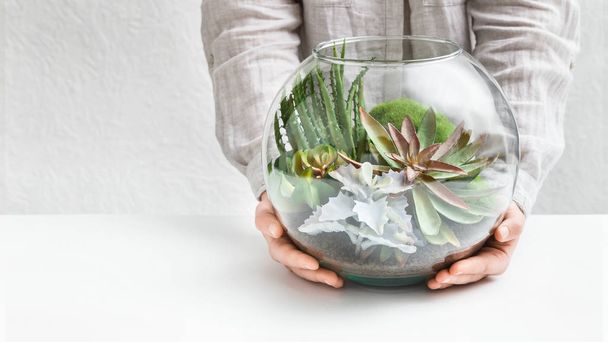 Manos de mujer sosteniendo mini jardín suculento en florario de vidrio
 - Foto, Imagen