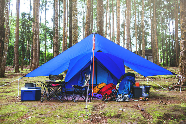travel relax in the holiday. camping on the Mountain. Camping accessories, tent, mountain, camping, countryside, forest, nature, outdoor, holiday, relax, travel, summer, travel Thailand. - Photo, Image