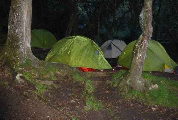 キリマンジャロ山の熱帯雨林のキャンプ場 - 写真・画像