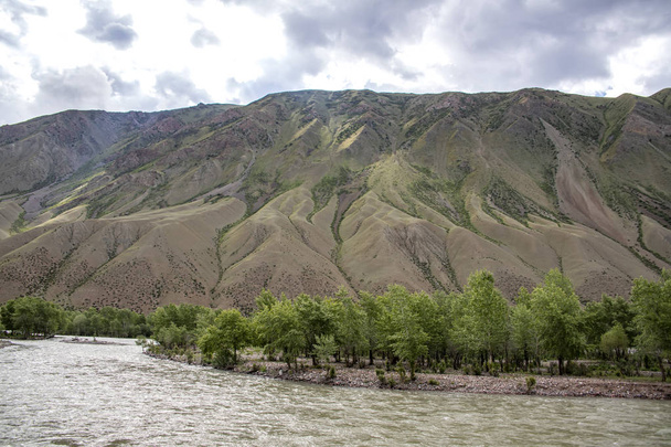 Rivier stroomt tussen schilderachtige heuvels. Bomen langs de oevers. Reizen in Kirgizië - Foto, afbeelding