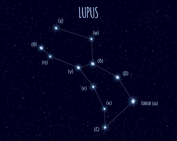 Lupus (The Wolf) constellation, vector illustration with the names of basic stars against the starry sky - Vector, Image