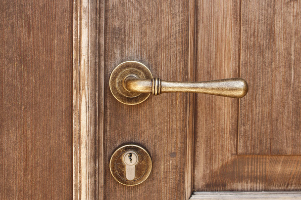 Brown wooden entrance door with bronze door handle and modern keyhole - Photo, image