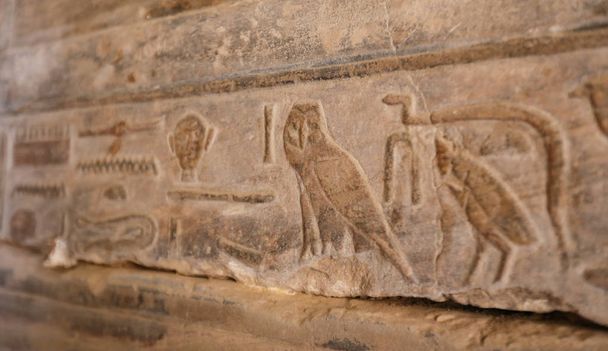 セティ1世の聖堂におけるエジプトの象形文字、ルクソール、エジプト - 写真・画像