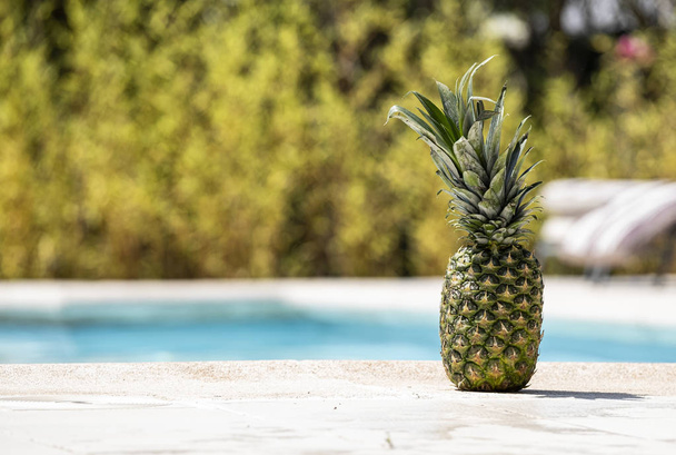 Pineapple on the edge of a swimming pool. - Foto, imagen