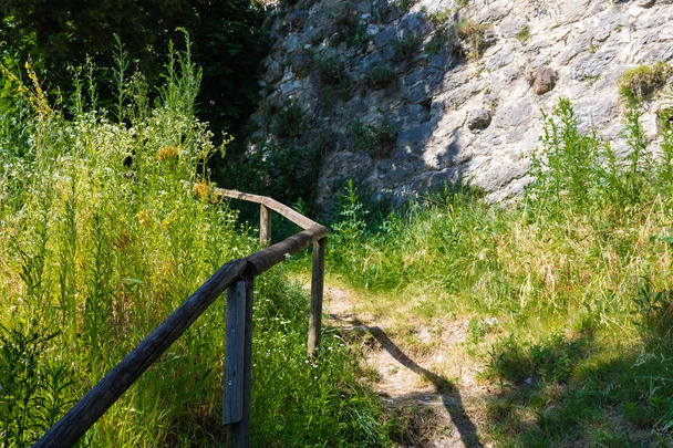 Waldweg, der mit dem Holzgeländer nach oben führt, Trekkingpfad - Bild - Foto, Bild