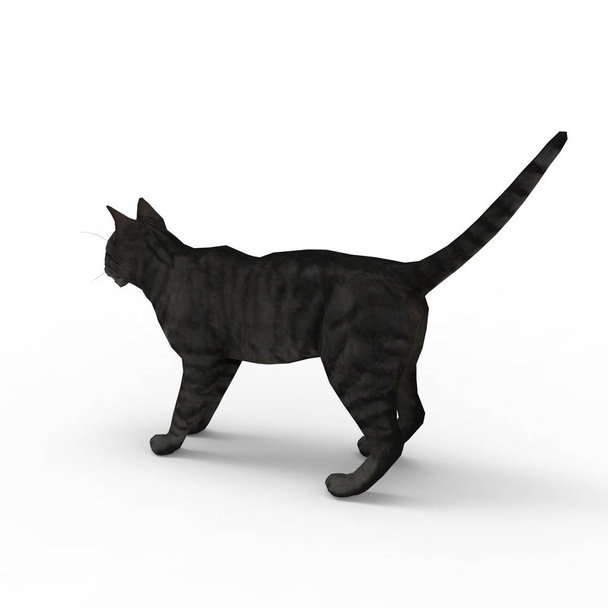 3D візуалізація кота, створена за допомогою інструменту блендера
 - Фото, зображення