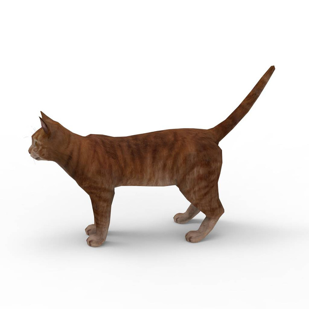 εικόνα της γάτας. 3D απόδοση της γάτας που δημιουργήθηκε με τη χρήση ενός εργαλείου μπλέντερ - Φωτογραφία, εικόνα