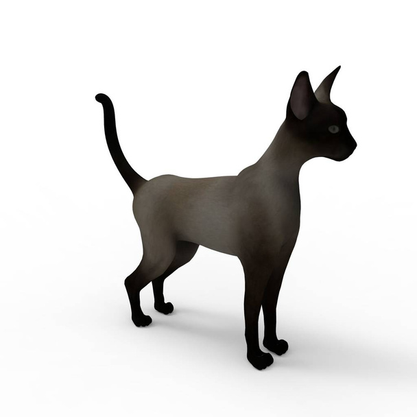 猫のイラスト。ブレンダーツールを使用して作成された猫の3Dレンダリング - 写真・画像