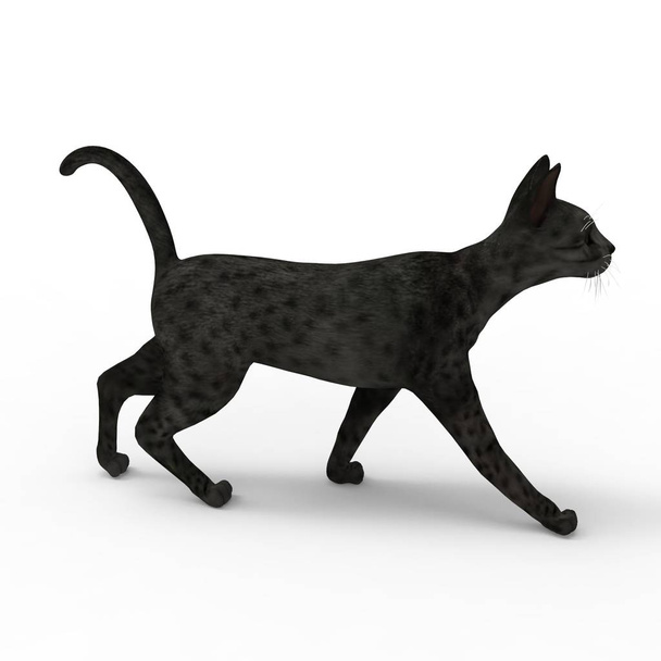 ilustração de gato. 3d renderização de gato criado usando uma ferramenta de liquidificador
 - Foto, Imagem