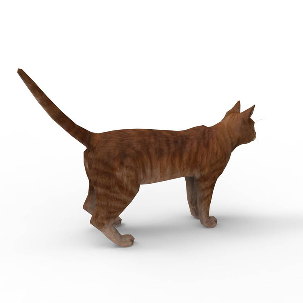 εικόνα της γάτας. 3D απόδοση της γάτας που δημιουργήθηκε με τη χρήση ενός εργαλείου μπλέντερ - Φωτογραφία, εικόνα