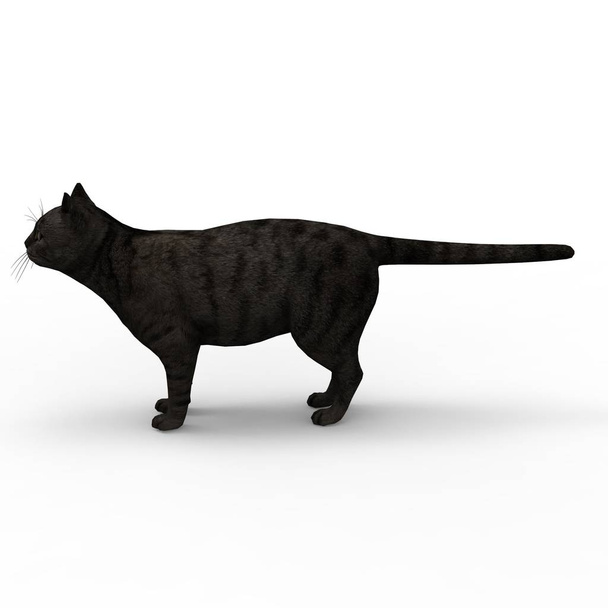 ilustração de gato. 3d renderização de gato criado usando uma ferramenta de liquidificador
 - Foto, Imagem