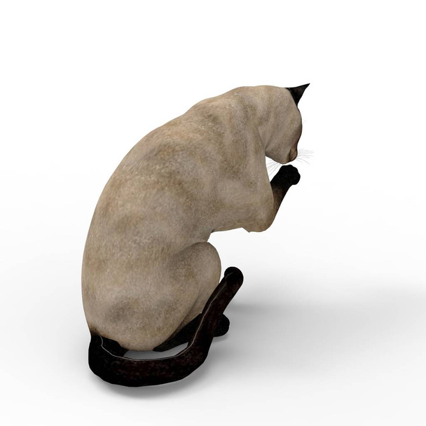 猫のイラスト。ブレンダーツールを使用して作成された猫の3Dレンダリング - 写真・画像