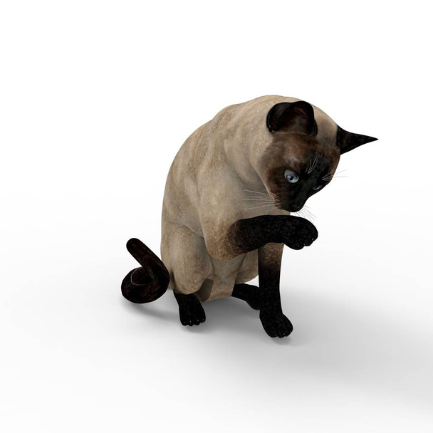 illusztráció-ból macska. 3D teszi a macska által létrehozott segítségével turmixgép eszköz - Fotó, kép