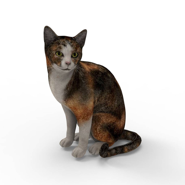 ilustración de gato. 3d representación de gato creado mediante el uso de una herramienta de licuadora
 - Foto, Imagen