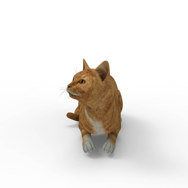 ilustracji kota. Renderowanie 3D kota utworzone za pomocą narzędzia Blender - Zdjęcie, obraz