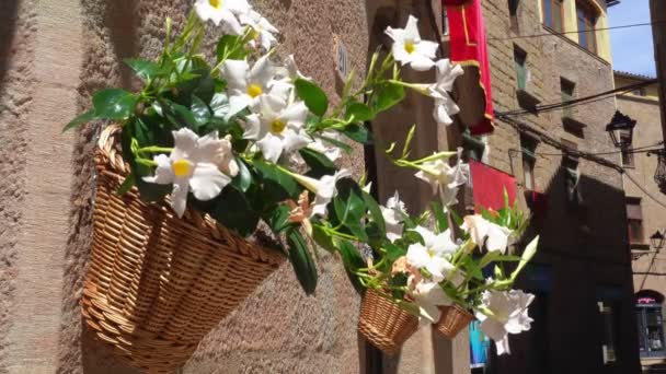 bloempotten en bloemen op een witte muur, oude Europese stad - Video