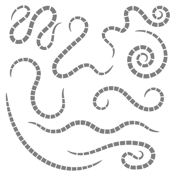 Spargel, Helminth, Windröschen, Fadenwürmer. Parasit isoliert auf weißem Hintergrund - Vektor, Bild