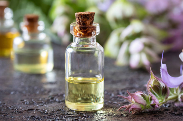 Una bottiglia di olio essenziale di salvia sclarea con pianta in fiore - Foto, immagini